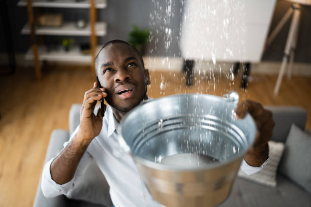 Best 24/7 water damage repair  in Whitley City, KY