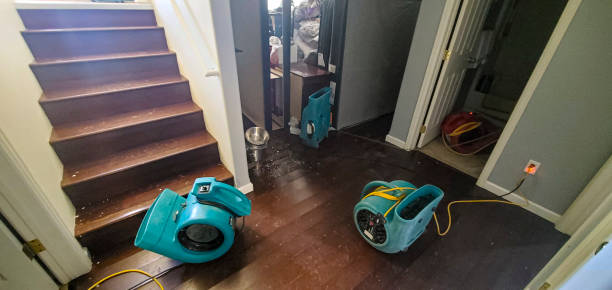 Best Water damage restoration near me  in Whitley City, KY
