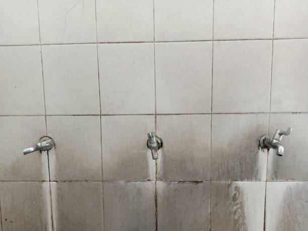 Best Water damage restoration services  in Whitley City, KY