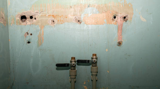 Best Ceiling water damage repair  in Whitley City, KY